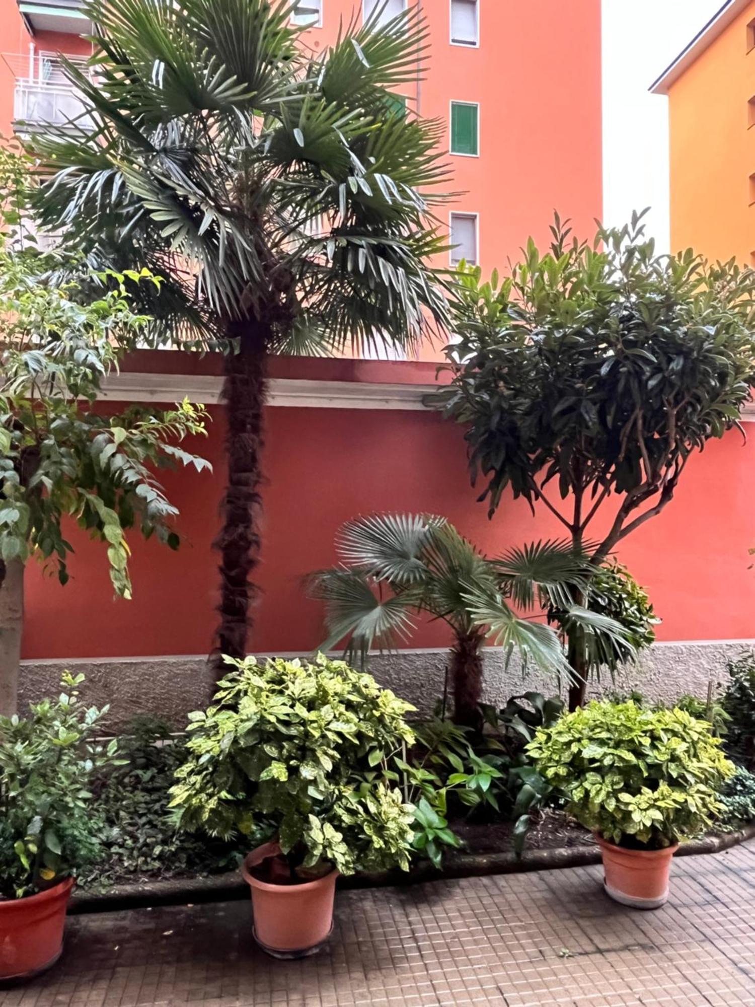 Myhome Forze Armate Big * Milano
